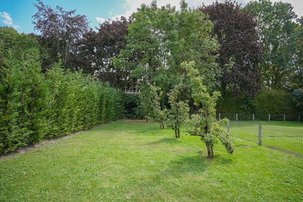 Foto 62.jpg